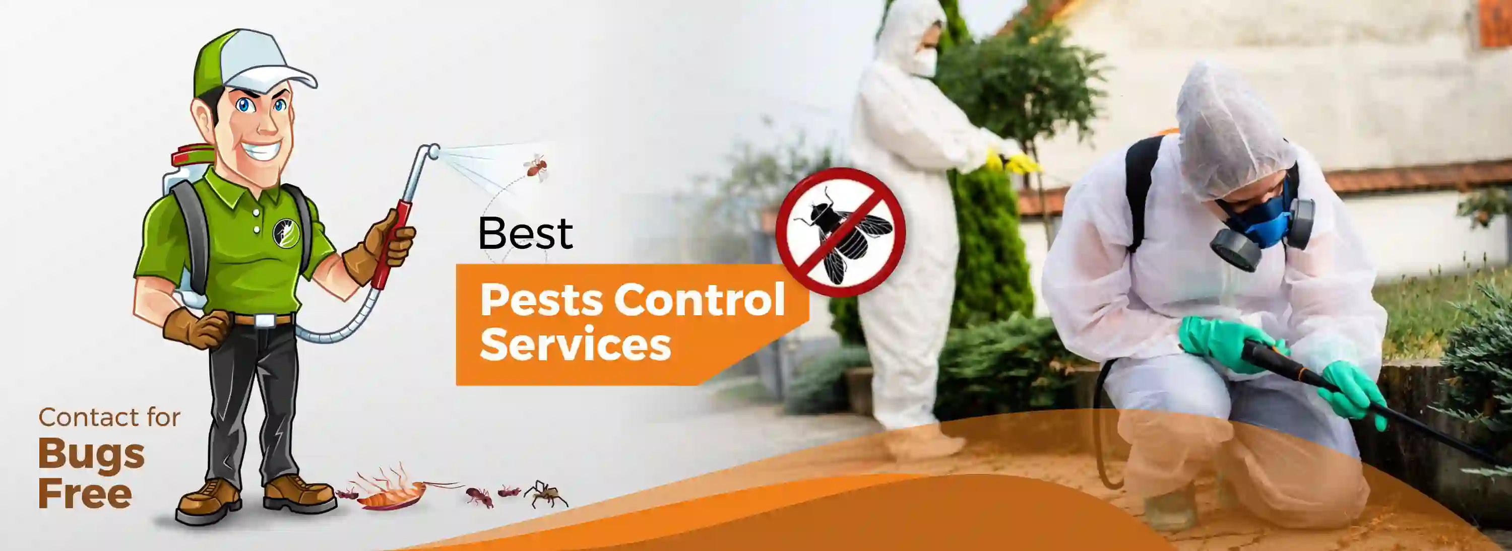 Gyan Pest Control - We Control all kinds of Pests at home